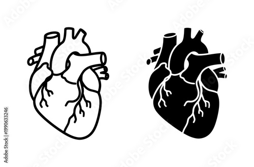 Human Anatomical Heart Outline and Silhouette Vector Set