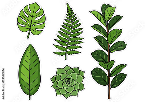Variety of green leafy plants.