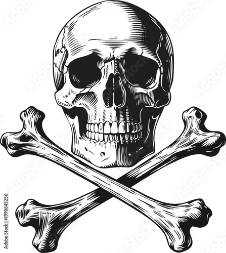 Intricate Skull and Crossed Bones – Detailed Black and White Illustration. Highly detailed vintage skull and crossbones illustration, front-facing human skull with deep eye sockets and realistic teeth