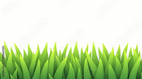 Green Grass Border Vector Illustration Isolated on White Background