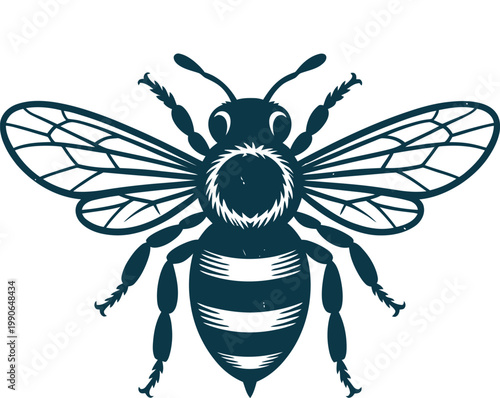 Detailed blue bee with striped body and spread wings insect black