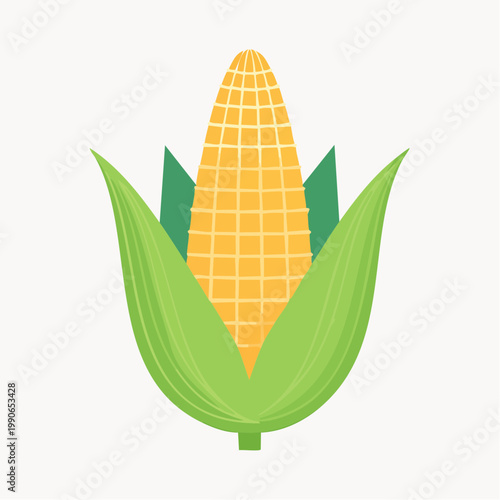 Illustration of a single ear of corn with green husks and leaves