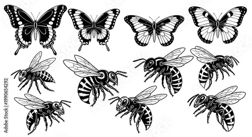 Detailed Decorative Butterfly and Wasp Vector Art