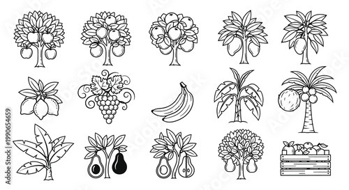 Fruit Trees and Orchard Harvest Vector Illustrations