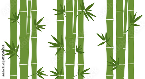 Vertical green bamboo stalks with sparse leafy branches against a white background
