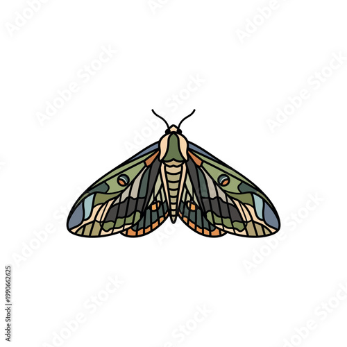 Colorful Moth with Open Wings Illustration.