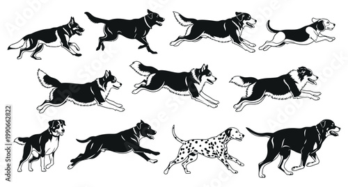 Dynamic dog silhouettes a collection of energetic canine forms in motion black and white
