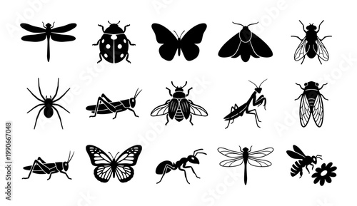 Minimalist insect silhouette icons, set of 15 black bug vector illustrations, butterfly and dragonfly nature symbols for biology education and web design