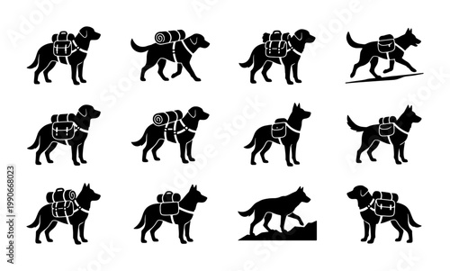 Hiking dog silhouette icons, set of 12 black vector elements, working dogs with backpacks and camping gear, outdoor adventure canine symbols