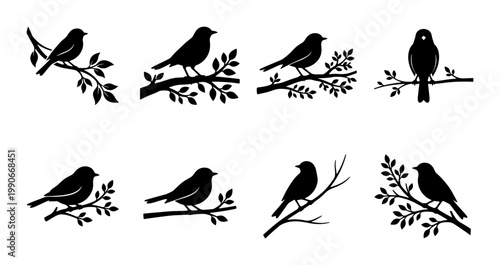 Black bird silhouette collection, 8 songbird vector icons on tree branches, minimalist avian nature silhouettes for logo design and wall art