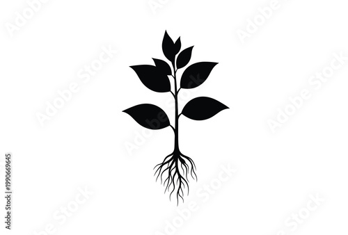 Black silhouette of a plant with visible roots and lush foliage silhouette