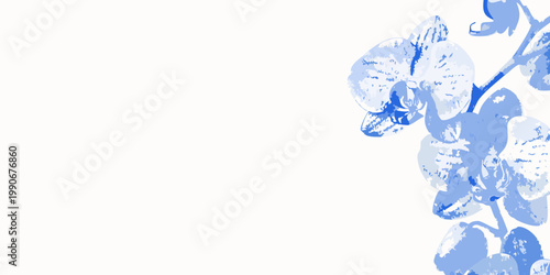 Delicate blue orchid blooms cascade down the side of the frame