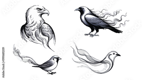 Sketchy Avian Quartet: A detailed monochrome illustration of an eagle, a raven, a sparrow and a dove, rendered with artistic flair and stylized details.