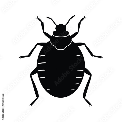 Black and white bed bug detailed anatomy silhouette vector illustration design, bed bug silhouette vector illustration