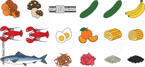 Assorted Food Ingredients Vector Set with Seafood, Fruits, Vegetables, Mushrooms and Seasonings for Cooking Illustrations, Recipe Designs and Kitchen Graphics Collection
