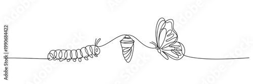 Single line drawing of butterfly life cycle stages