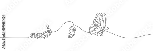 Continuous line drawing of butterfly life cycle caterpillar