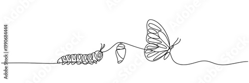 Minimalist line drawing of butterfly life cycle caterpillar