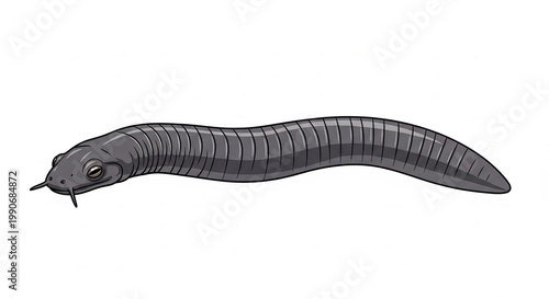 Ancient worm fossil invertebrate creature.