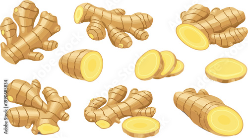 Ginger Root Set with Whole and Sliced Pieces Detailed Vector Illustration for Fresh Spice, Herbal Medicine, Cooking Ingredients and Organic Food Design