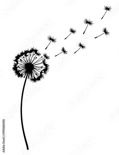 Black Dandelion Silhouette with Seeds Blowing in the Wind Isolated on Transparent Background