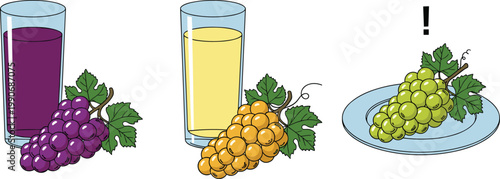 Grape Juice Set with Purple and White Grapes, Fresh Juice Glasses and Green Grapes on Plate Vector Illustration for Healthy Drink and Fruit Design