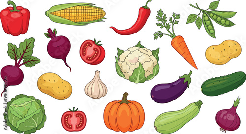 Collection of fresh garden vegetables including pumpkin tomato carrot bell pepper corn broccoli and cabbage isolated on white background vector illustration.