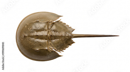 antique bronze spearhead with intricate design