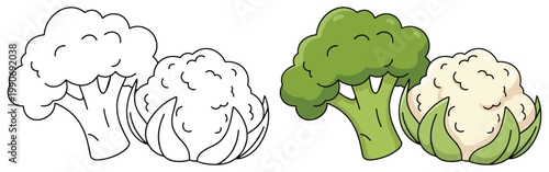 Broccoli cauliflower vegetable cartoon illustration fresh healthy food for kids vector design
