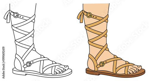 Sandals gladiator style lace up footwear for summer fashion vector illustration