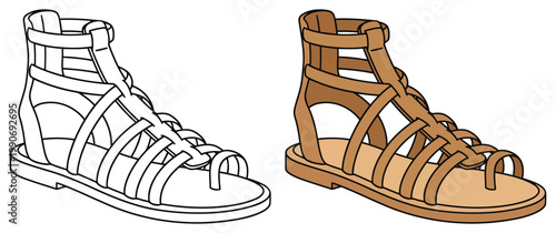Sandal stylish gladiator summer footwear with straps elegant fashion coloring page illustration