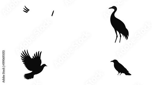 Bird Silhouettes Collection: A diverse compilation of avian silhouettes gracefully positioned against the negative space. Illustrating the elegance and variation of bird forms.