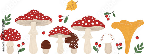 Mushroom Vector Set Featuring Amanita Toadstool and Forest Fungi Illustrations with Leaves and Berries for Nature Design, Botanical Graphics, and Autumn Decorations