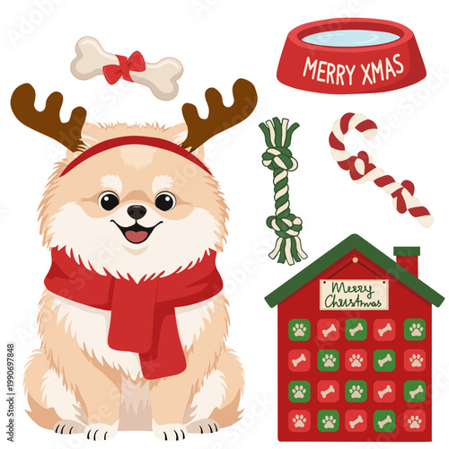 Christmas pomeranian dog clipart with reindeer antlers scarf and advent calendar on a transparent background