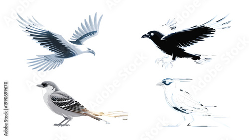 Four Birds in Flight and Perch: A diverse assortment of bird species in full flight, showcasing the beauty and variety of avians, with a focus on their unique characteristics