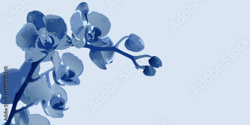 Delicate blue orchid stem gracefully curves against a light background