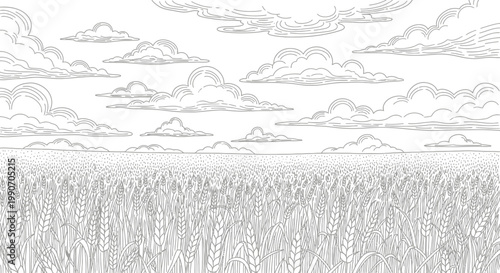 Black and White Line Art Illustration of Wheat Field under Cloudy Sky