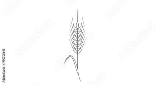 Simple Line Art Drawing of a Single Wheat Stalk with Grains, an agricultural symbol on an isolated white background