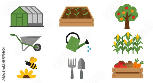 Gardening tools and equipment for plant care.