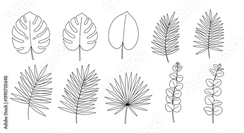 Various Types of Hand-Drawn Leaf Illustrations in Black and White.