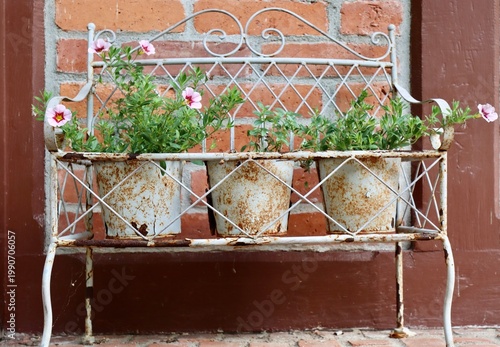 
old historic beautiful flower bench