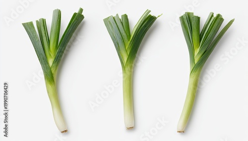Three fresh green onions, trimmed and separated, on a white surface