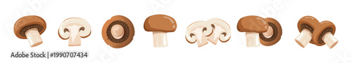 Set of various edible mushroom species including whole, sliced, and grouped fungi for culinary or botanical illustration.