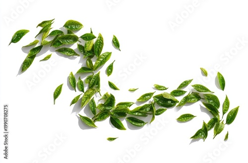 Vivid green tea leaves cascade in a gentle, curving wave across a clean white backdrop