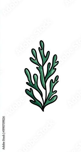 A simple, stylized green seaweed frond on a white background