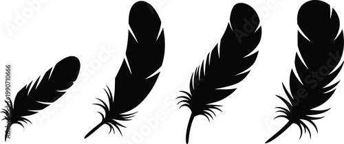 Collection of four black feather silhouettes with detailed plumes and quills representing bird flight nature and light weight for graphic design.