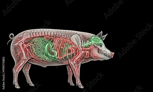 Futuristic Neon Pig with Visible Internal Organs