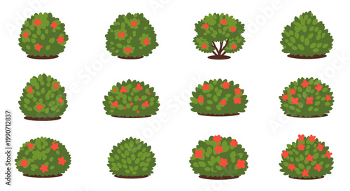 Set of Decorative Garden Bushes and Flowering Shrubs, Vector Illustration of Green Landscaping Plants for Park or Backyard Design Elements in Flat Style