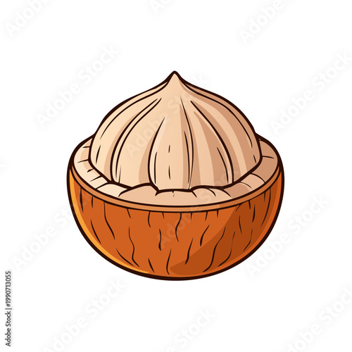 Toasted Hazelnut in a Shell Half with Detailed Texture and Smooth Interior