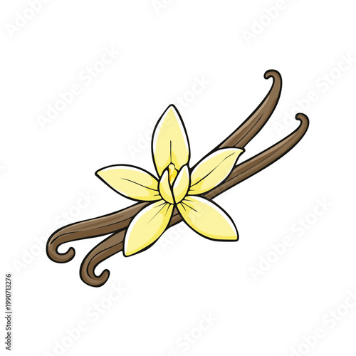 Stylized illustration of a delicate yellow orchid flower with two long brown vanilla bean pods